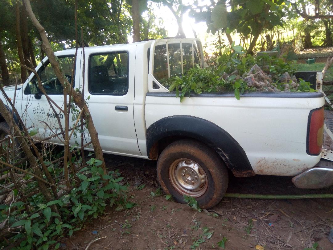 Getting ready for tree planting exercise